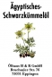 Preview: Ägyptisches Schwarzkümmelöl