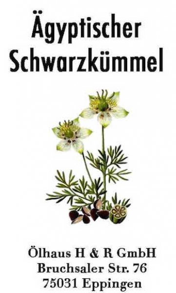Ägyptischer Schwarzkümmel