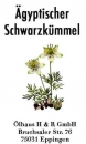 Ägyptischer Schwarzkümmel